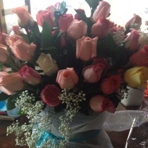 Meet your Posher, Robin